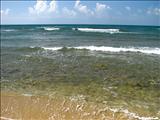 Grande Beach - VIEQUES